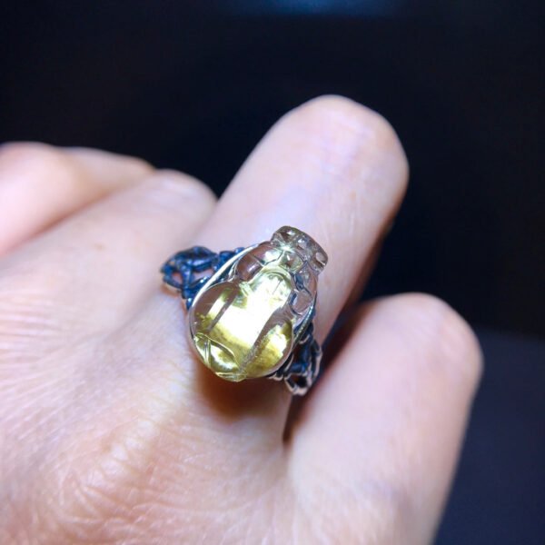 Pure natural titanium crystal pixiu ring for men and women, size: 16/10.4mm2710278348