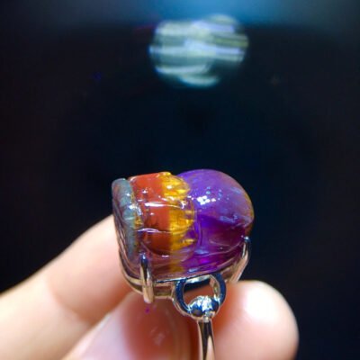 Aurora 23 Aurora Titanium Purple Titanium Pixiu Ring for Men and Women, Size: 18.1/13mm0511418781