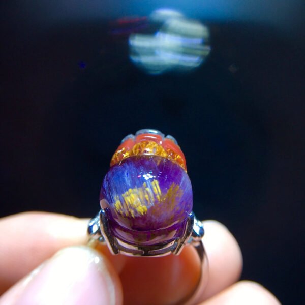 Aurora 23 Aurora Titanium Purple Titanium Pixiu Ring for Men and Women, Size: 18.1/13mm0511418781