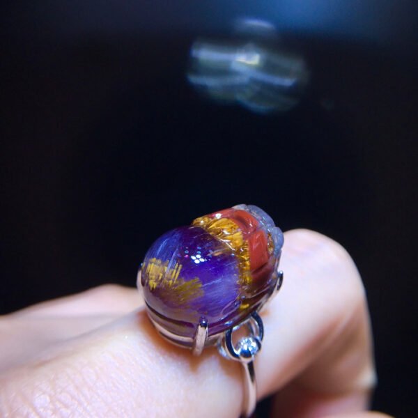 Aurora 23 Aurora Titanium Purple Titanium Pixiu Ring for Men and Women, Size: 18.1/13mm0511418781