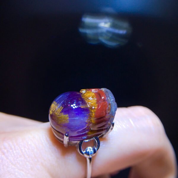 Aurora 23 Aurora Titanium Purple Titanium Pixiu Ring for Men and Women, Size: 18.1/13mm0511418781