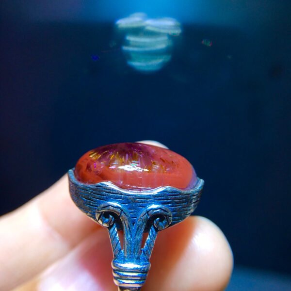 Aurora 23 Aurora Titanium Purple Eye Ring, Size: 18.5/13mm0811398166