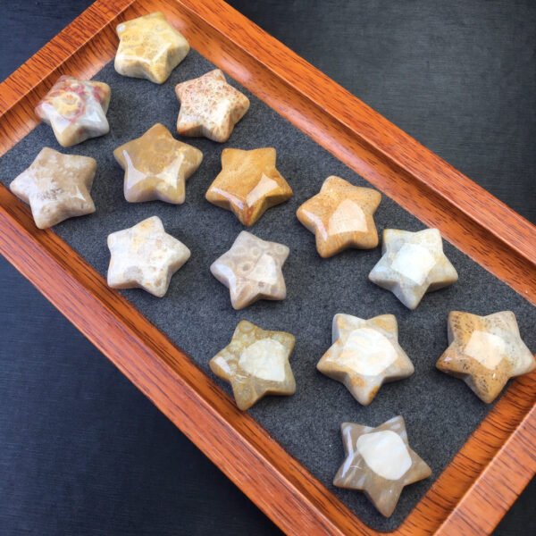 Coral jade pentagram 💕 Specification 25mm1111005136